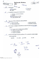 Holistic 2007.pdf